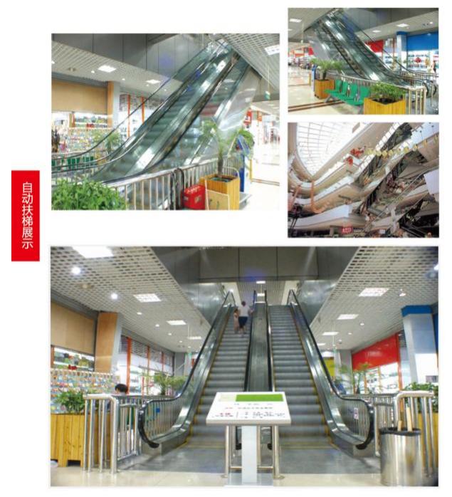 �Զ�����